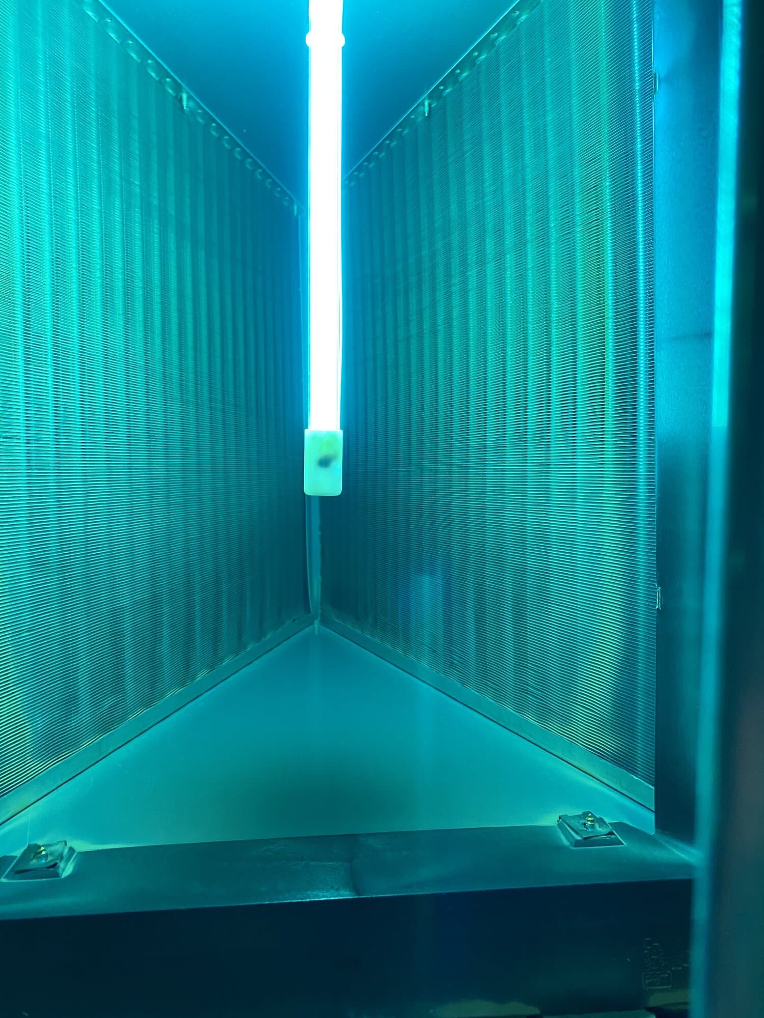 A close-up view of a germicidal UV-C light lamp installed directly above or alongside a metal HVAC evaporator coil. The lamp emits a continuous blue or violet glow designed to sterilize the coil's surface and prevent the growth of mold, bacteria, and biofilm in the moist environment.